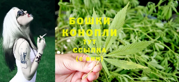 ПСИЛОЦИБИНОВЫЕ ГРИБЫ Михайловск
