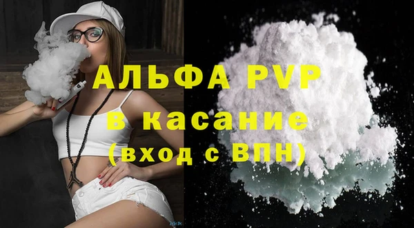 ГАЛЛЮЦИНОГЕННЫЕ ГРИБЫ Богданович
