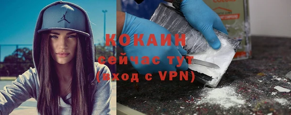тгк Михайлов