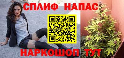 МДПВ Донской