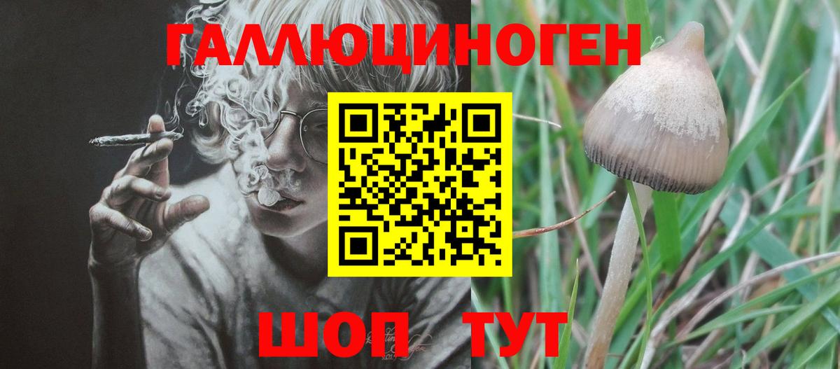 Советский  Галлюциногенные грибы Cubensis  Вход с VPN  Псилоцибиновые грибы мицелий 