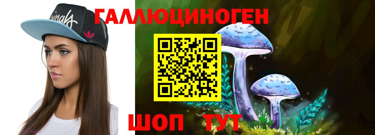 Псилоцибиновые грибы Psilocybe Советский